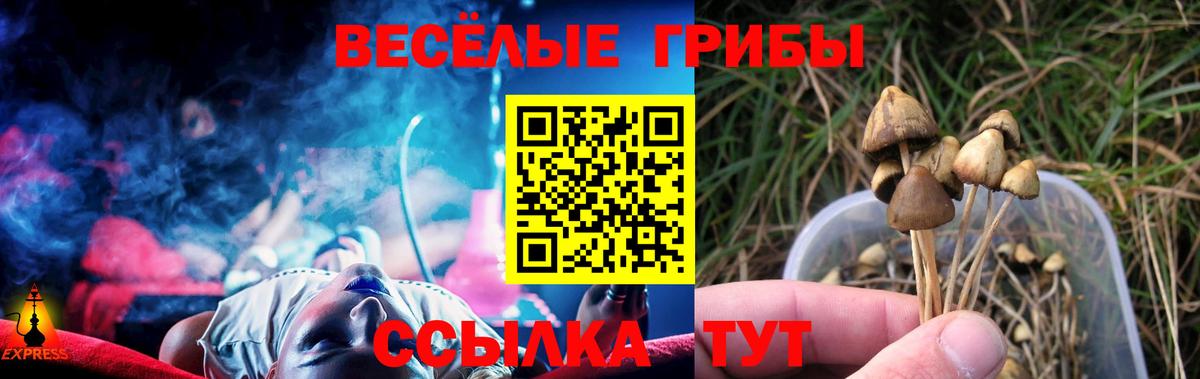 Чебоксары  Псилоцибиновые грибы Magic Shrooms  Вход с VPN 